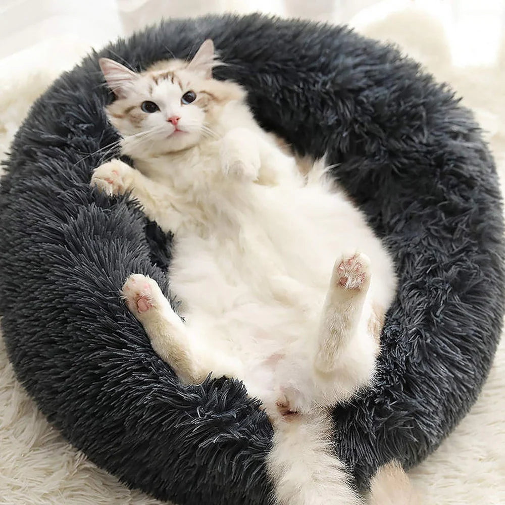 FuzzyBed™