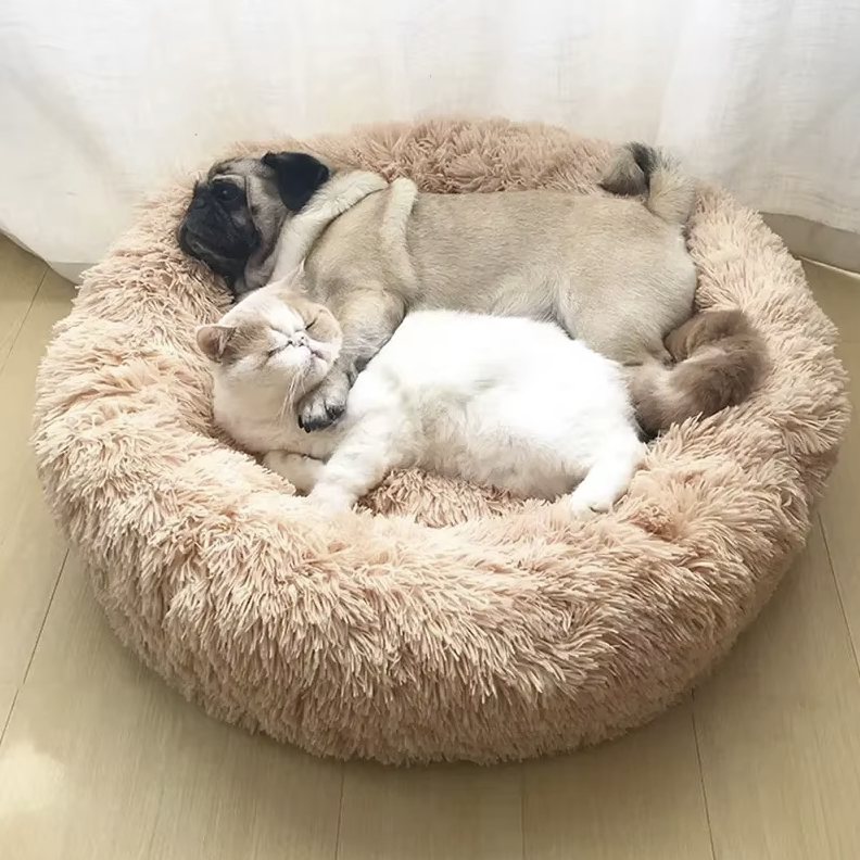 FuzzyBed™