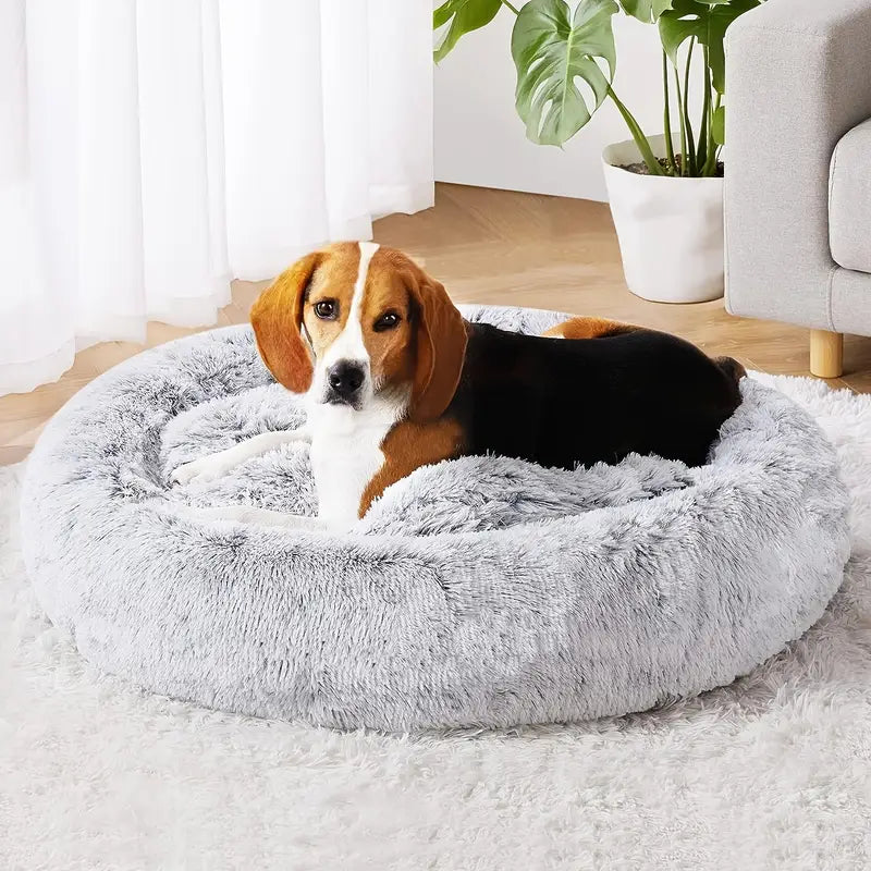 FuzzyBed™